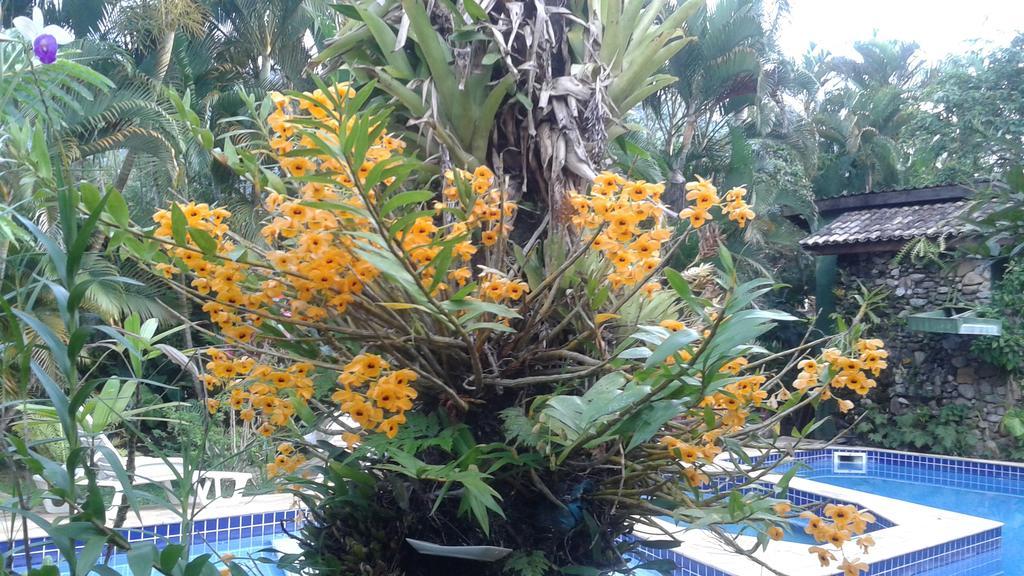 Guest house Vila Dos Tupinambas *